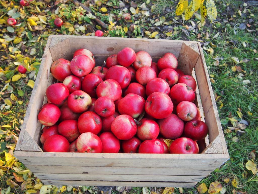 Agroturystyka Lolkowo Srokowo 외부 사진